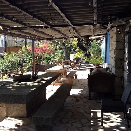 A Tigliola Panzió Porto-Vecchio  Kültér fotó